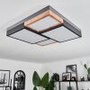 Bornos Ceiling Light LED anthracite, 1-light source