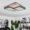 Bornos Ceiling Light LED anthracite, 1-light source