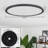 Boyero Ceiling Light LED black, 2-light sources, Remote control, Colour changer