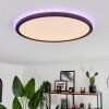 Boyero Ceiling Light LED black, 2-light sources, Remote control, Colour changer