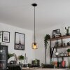 Lauden Pendant Light glass 15 cm Amber, 1-light source