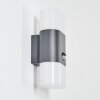 Belerda Outdoor Wall Light LED anthracite, 2-light sources, Motion sensor