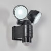 Anyarhwi Outdoor Wall Light LED black, 2-light sources, Motion sensor
