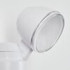Anyarhwi Outdoor Wall Light LED white, 2-light sources, Motion sensor