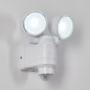 Anyarhwi Outdoor Wall Light LED white, 2-light sources, Motion sensor