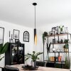Rolle Pendant Light LED black, 1-light source