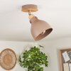Brunnen Ceiling Light brown, Wood like finish, Taupe, 1-light source