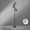 Fischer & Honsel Bala Floor Lamp LED black, 5-light sources