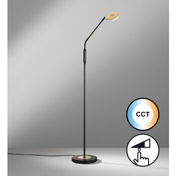 Fischer & Honsel Dent Floor Lamp LED black, 1-light source