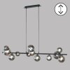 Fischer & Honsel Bala Pendant Light LED black, 12-light sources