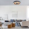 Paul Neuhaus ELIZA Ceiling Light LED Ecru, 2-light sources