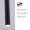 Paul Neuhaus FLUTE Pendant Light LED black, 1-light source