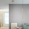 Paul Neuhaus FLUTE Pendant Light LED gold, 1-light source