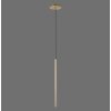 Paul Neuhaus FLUTE Pendant Light LED gold, 1-light source