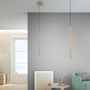 Paul Neuhaus FLUTE Pendant Light LED gold, 1-light source