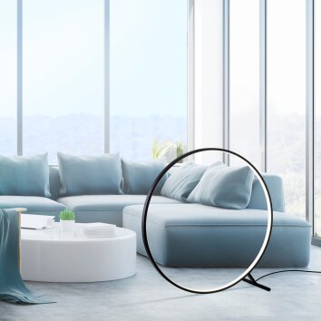 Paul Neuhaus HULA Floor Lamp LED black, 1-light source, Remote control