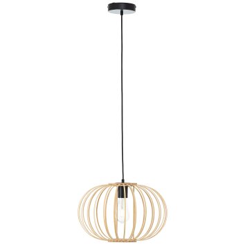 Brilliant Enca Pendant Light black, 1-light source