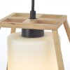 Brilliant Giseh Pendant Light black, 1-light source