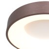 Steinhauer Ringlede Ceiling Light, 1-light source