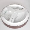 Steinhauer Ringlede Ceiling Light, 1-light source