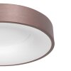 Steinhauer Ringlede Ceiling Light, 1-light source