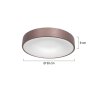Steinhauer Ringlede Ceiling Light, 1-light source