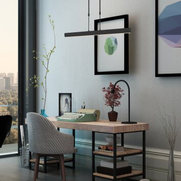 Steinhauer Zelena Pendant Light LED, 3-light sources