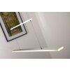 Steinhauer LED hanging light, 1-light source