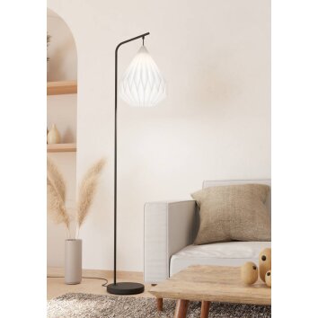 Eglo MINTING Floor Lamp black, 1-light source