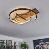 Gauvin Ceiling Light LED brown, Wood like finish, black, 1-light source
