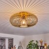 Oravi Ceiling Light brass, 1-light source