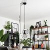 Vevino Pendant Light glass 15cm Smoke-coloured, 1-light source