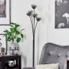Bernado Floor Lamp black, 5-light sources