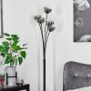 Bernado Floor Lamp black, 5-light sources