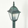 Naofe path light green, black, 1-light source