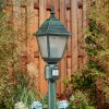 Naofe path light green, black, 1-light source, Motion sensor