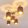 Glane Ceiling Light matt nickel, 5-light sources