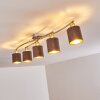 Glane Ceiling Light matt nickel, 5-light sources