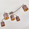 Glane Ceiling Light matt nickel, 5-light sources