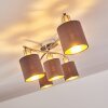 Glane Ceiling Light matt nickel, 5-light sources
