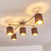 Glane Ceiling Light matt nickel, 5-light sources