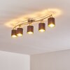 Glane Ceiling Light matt nickel, 5-light sources