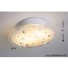 Ceiling lamp 2flg. white, 2-light sources