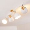 Banjul Ceiling Light Light wood, white, 4-light sources