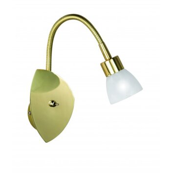 Trio 8161 wall light brass, 1-light source