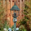 Naofe path light green, black, 1-light source, Motion sensor