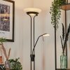 Biot Floor Lamp LED black, 2-light sources