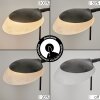 Biot Floor Lamp LED black, 2-light sources