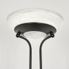 Biot Floor Lamp LED black, 2-light sources