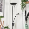 Biot Floor Lamp LED black, 2-light sources